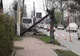 O dubiță scăpată de sub control s-a izbit într-un stâlp și un copac. Șoferului i s-a făcut rău la volan FOTO