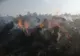 Cinci incendii în decurs de mai puțin de patru ore în județul Suceava FOTO