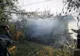 VIDEO Spargere filmată de camerele de supraveghere într-un pub din Suceava