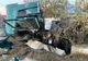 Un tir scăpat de sub control s-a răsturnat la Milișăuți FOTO