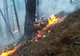 Incendiu pe raza Ocolului Silvic Pojorâta. Peste o sută de persoane au intervenit pentru lichidarea flăcărilor VIDEO