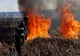Trupul unui bărbat de 83 de ani, găsit carbonizat după un incendiu de vegetație 