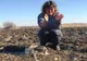 Câini găsiți împușcați pe un câmp din Cornu Luncii VIDEO