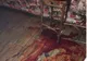 Cum a fost prins tânărul din Mălini care a înjunghiat un agent de pază