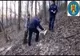 Un bărbat s-a ales cu dosar penal după ce a tăiat ilegal 48 de arbori
