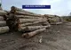 Material lemnos confiscat și amenzi în valoare de 55.000 lei pentru două firme din Stulpicani