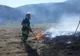 Opt incendii de vegetație uscată într-o singură zi, în județul Suceava VIDEO