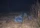 Țigări de contrabandă în valoare de aproape 70.000 de lei, depistate de polițiștii de frontieră de la Vicovu de Sus VIDEO