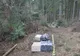 Țigări de contrabandă abandonate, după ce polițiștii de frontieră au tras șase focuri de armă FOTO VIDEO