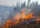 Aproximativ 200 de pompieri, pădurari și salvamontiști au intervenit pentru stingerea a șase incendii care au amenințat fondurile forestiere VIDEO