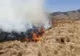 Incendiu de vegetație uscată și resturi de exploatare forestieră, la Șaru Dornei VIDEO