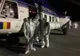 ÎPS Pimen, Arhiepiscopul Sucevei și Rădăuților, a fost transferat cu elicopterul la Matei Balș FOTO