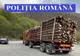 Amplă acțiune în județul Suceava pentru combaterea tăierilor ilegale de arbori