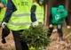Programul de reîmpădurire Pădurea de Mâine încheie o nouă etapă