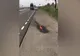 Indivizii care au incendiat cu un cocktail Molotov autospeciala ISCTR, trimiși în judecată după trei ani de la faptă
