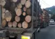Transporturi ilegale de lemn, depistate în trafic de polițiști