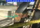 Polițiști, criminaliști și un medic veterinar, parteneri într-o misiune de suflet