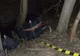 3.000 pachete de țigări, confiscate la frontiera de nord! Sucevean, cercetat pentru contrabandă în formă agravantă și trecere frauduloasă a frontierei de stat