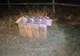 Ţigări de contrabandă în valoare de aproximativ 23.500 lei confiscate la frontiera de nord