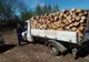 Dosar penal, material lemnos confiscat și vehicul în valoare de 30.000 Euro indisponibilizat pentru transport ilegal de lemn 