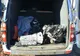 Trei motociclete furate din Italia, descoperite în Siret
