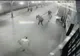 Păruială între trei bărbați, într-o gară din județul Suceava - VIDEO