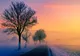 Vremea 9 decembrie - Temperaturile sunt în creștere