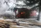 Incendiu la un canton silvic din Suceava