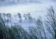 Avertizare meteo: Cod galben de vânt puternic, în două județe din Moldova