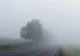 Cod galben emis de ANM - 13 județe sunt afectate de avertizarea meteorologică