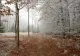 Prognoza meteo pe 4 săptămâni. Ianuarie, luna extremelor. Februarie revine la temperaturi normale