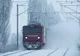 Copacii doborâţi de vânt au blocat trenurile în gări