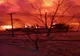 Incendiu violent la o gospodărie din Suceava