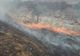 42 de incendii de vegetație uscată în doar șapte zile VIDEO
