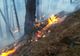 Incendiu pe raza Ocolului Silvic Pojorâta. Peste o sută de persoane au intervenit pentru lichidarea flăcărilor VIDEO