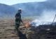 Opt incendii de vegetație uscată într-o singură zi, în județul Suceava VIDEO