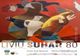 Expoziției de pictură Liviu Suhar