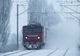 Copacii doborâţi de vânt au blocat trenurile în gări