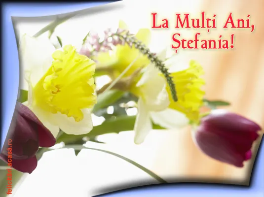 <p>Mesaje Sf&acirc;ntul Ştefan. Cele mai frumoase urări, mesaje şi felicitări de Sf. Ştefan</p>